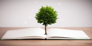 تبدیل درخت به دفترچه کاغذی - کارخانه کاغذساز پلکان یادگیری