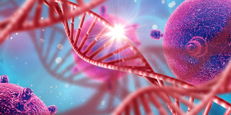 راز DNA - پلکان یادگیری