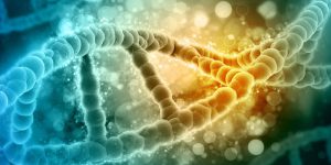 ژن کلیدی در انتقال اطلاعات ژنتیکی - پلکان یادگیری